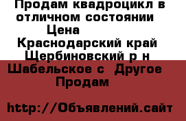 Продам квадроцикл в отличном состоянии › Цена ­ 50 000 - Краснодарский край, Щербиновский р-н, Шабельское с. Другое » Продам   